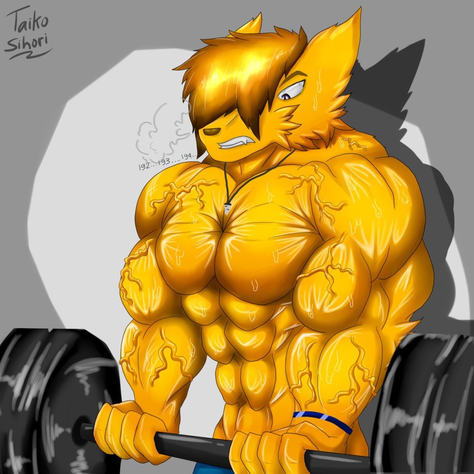 Taiko Muscle Growth