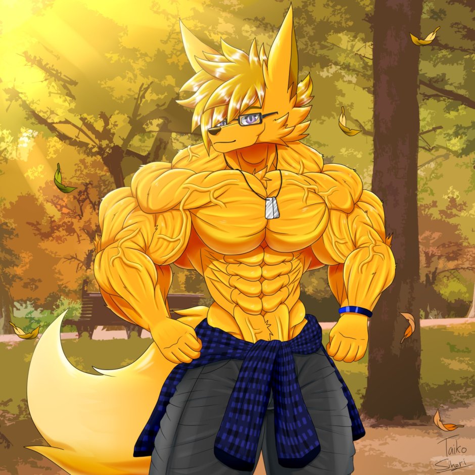 Taiko Sihori Yellow Lemon Fox