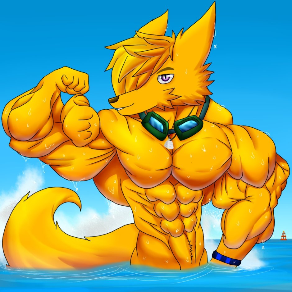 Taiko Muscle Growth