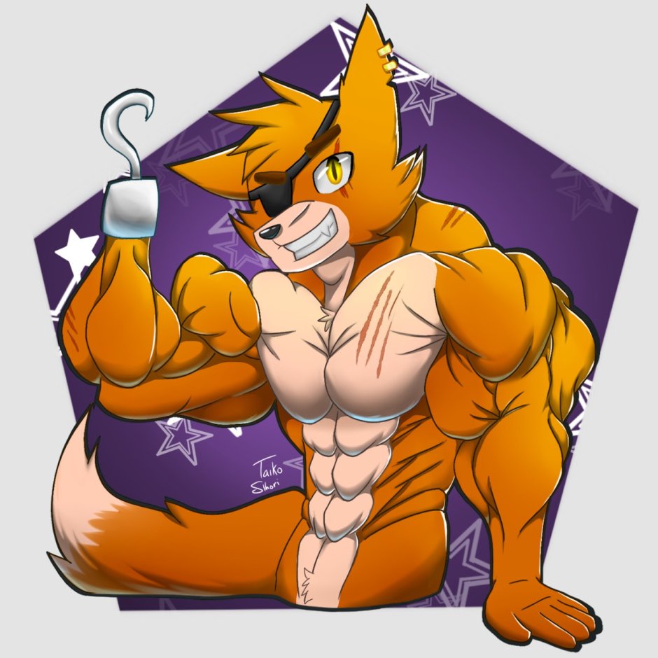 Foxy Muscle Growth