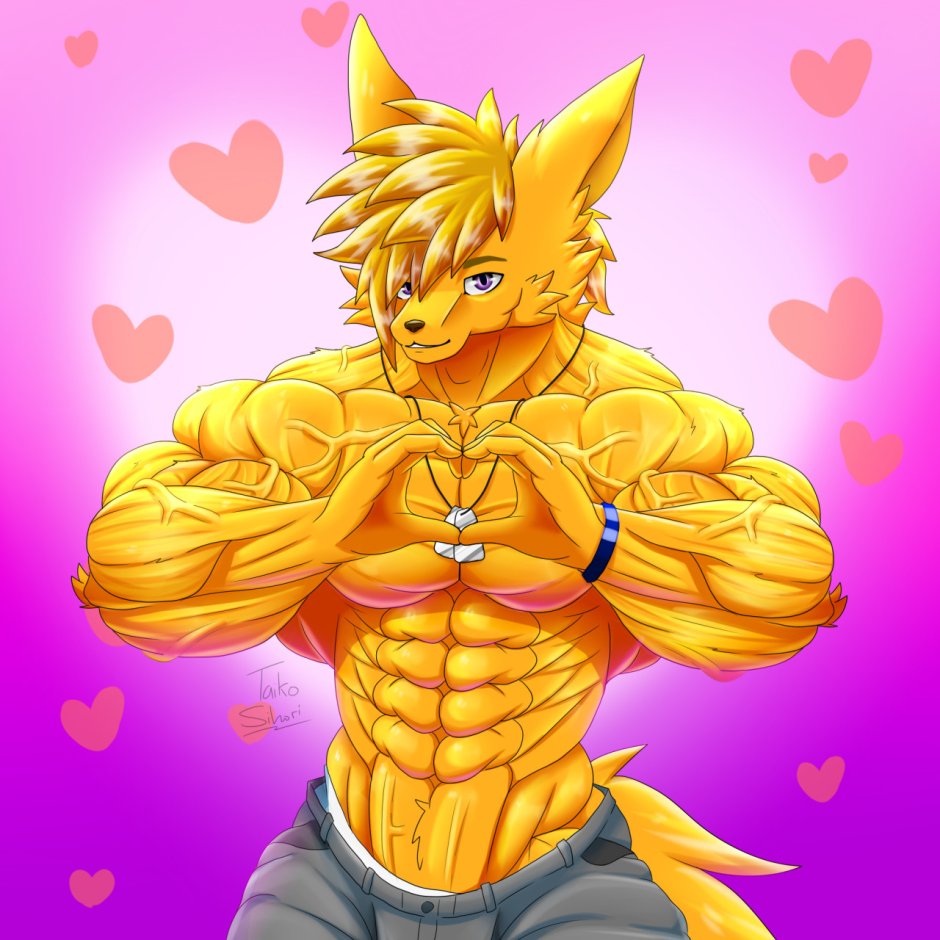 Taiko sihori yellow fox