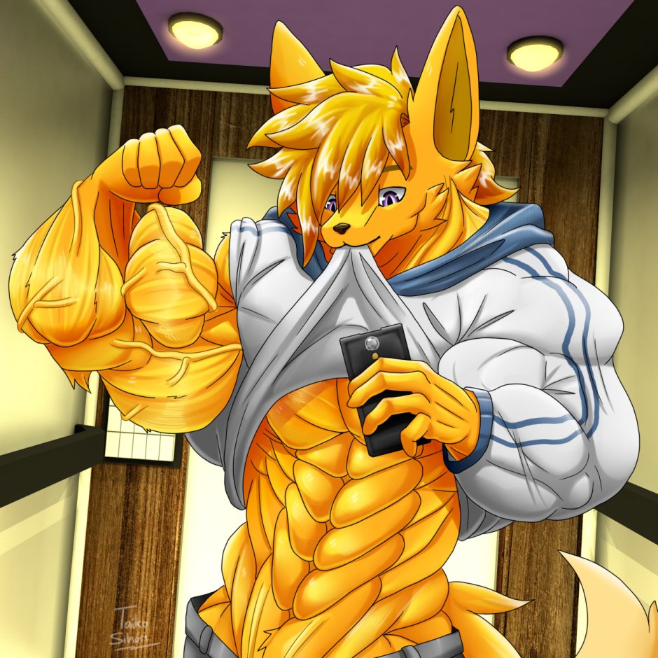 Muscle Taiko-Sihori Bodybuilding