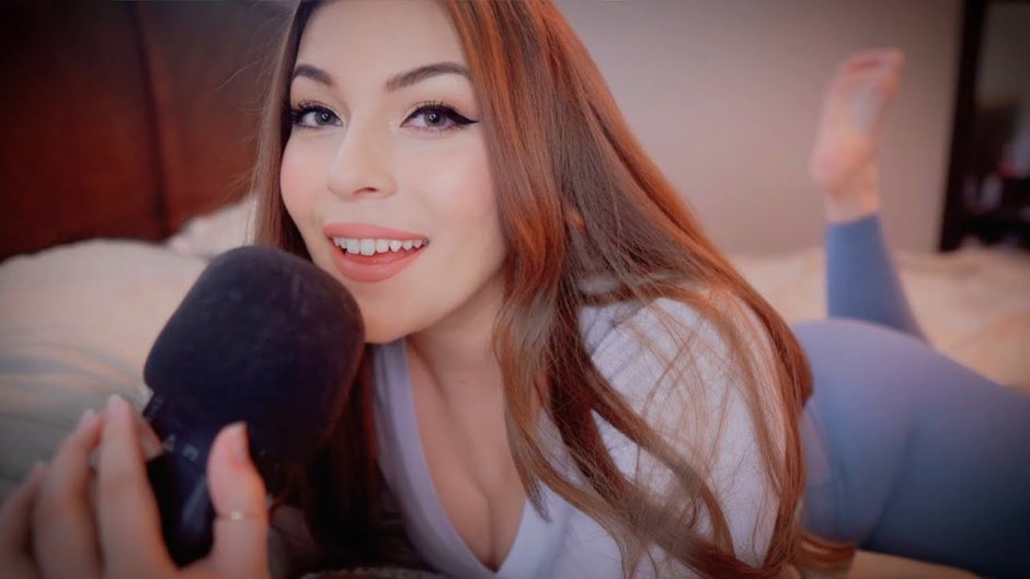 Puffin Asmr