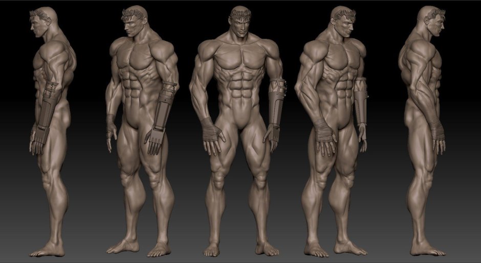 Male body from all sides