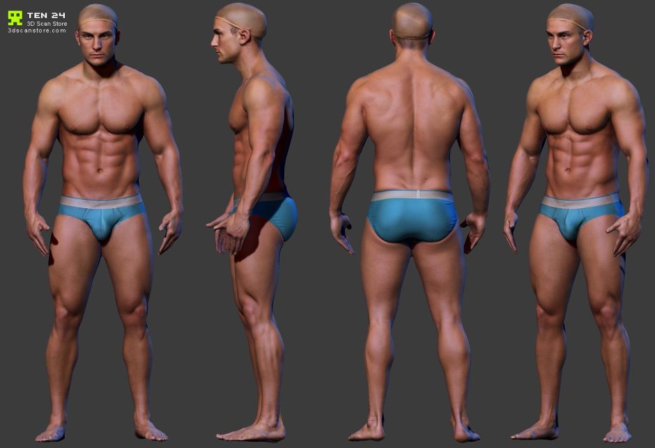 Human model from all sides