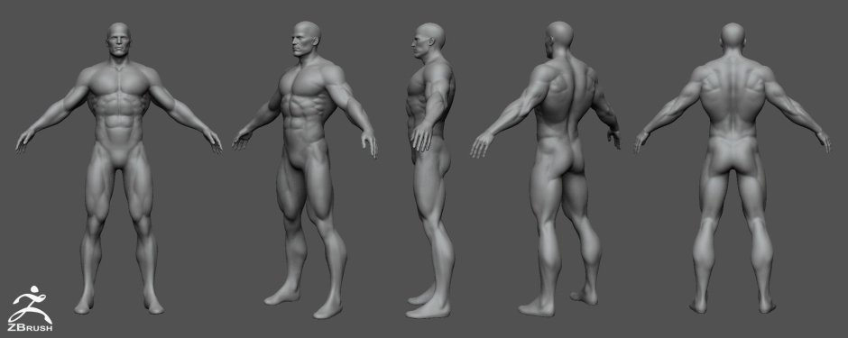 Base Mesh Zbrush