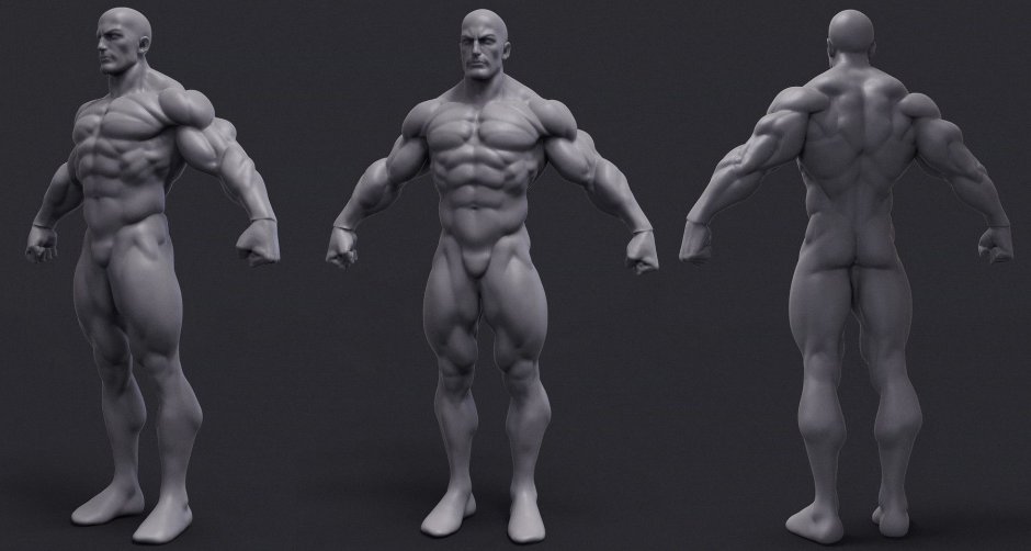 Tom Cruise Reference Sculpting