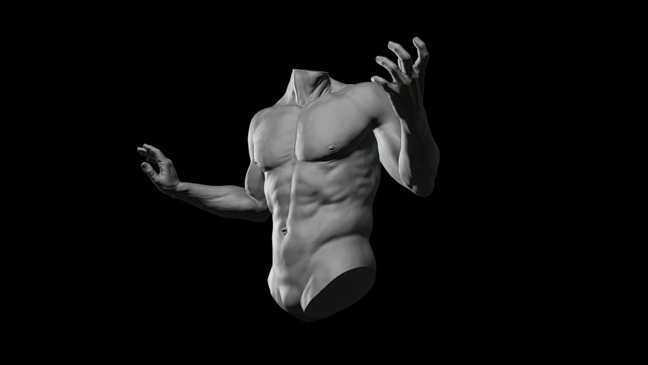 Male body on a black background