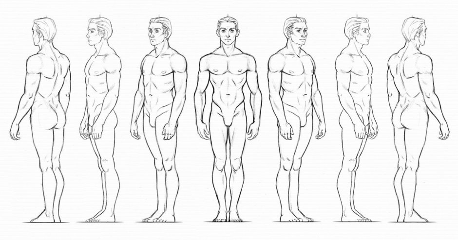A reference man to the side