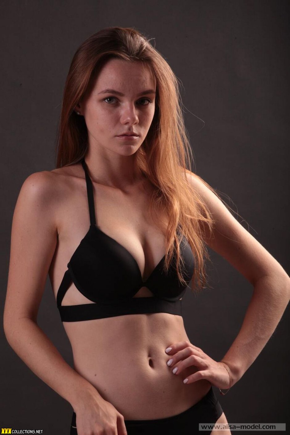 MAISIESS model