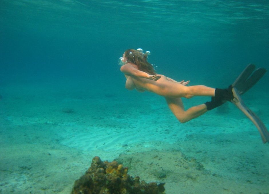 Swimming with scuba ducks