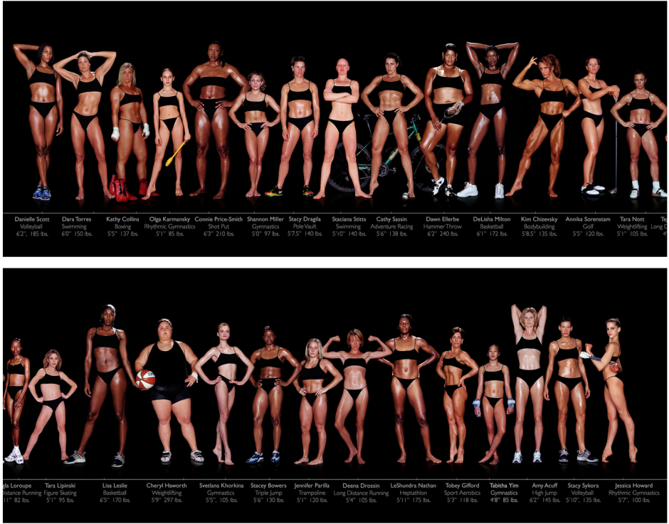Androgenic type of figure