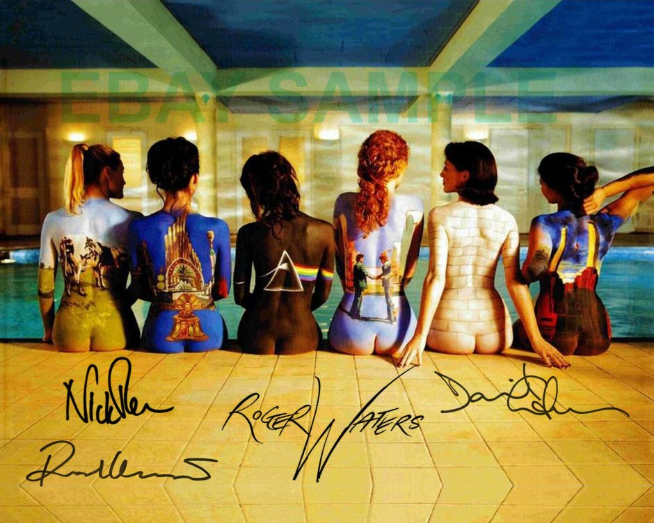 Pink Floyd Girls