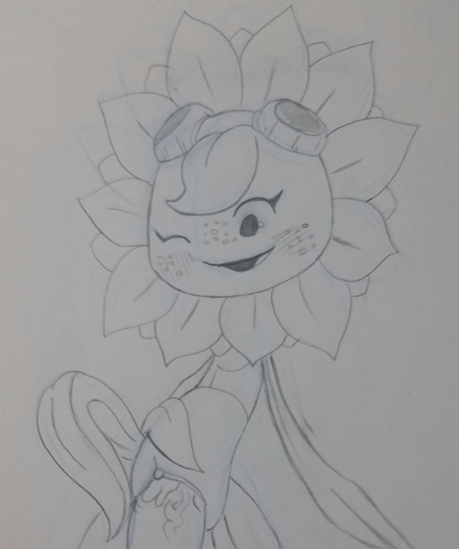 Tomboy Sunflower