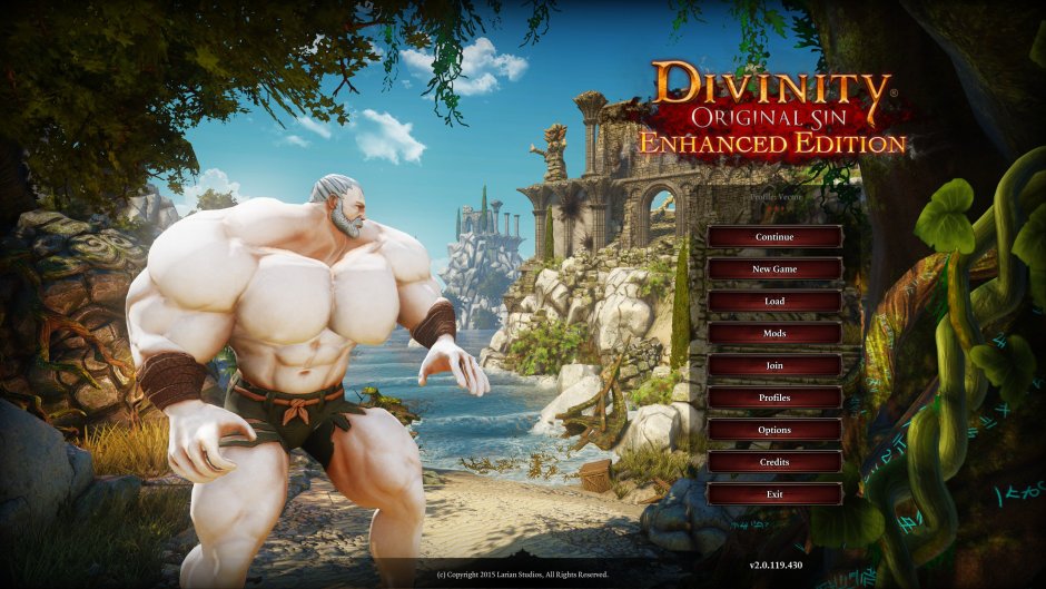 Divaniti Original Sin 2 Elf