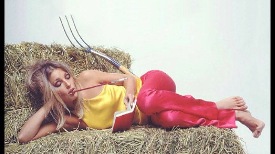 Cynthia Wood playboy