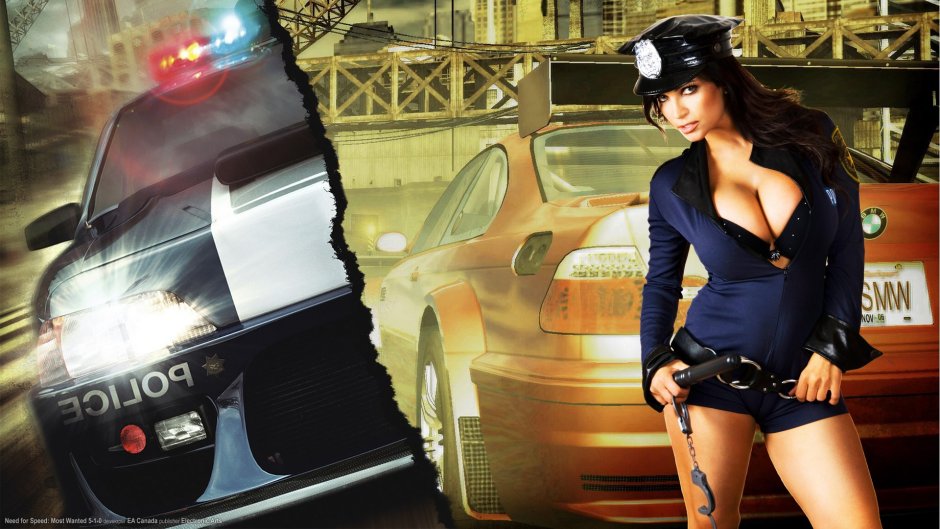 Police chicks