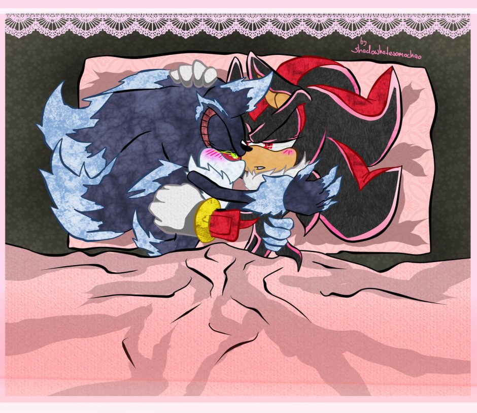 Hedgehog Sedou and Sonic Yaoi