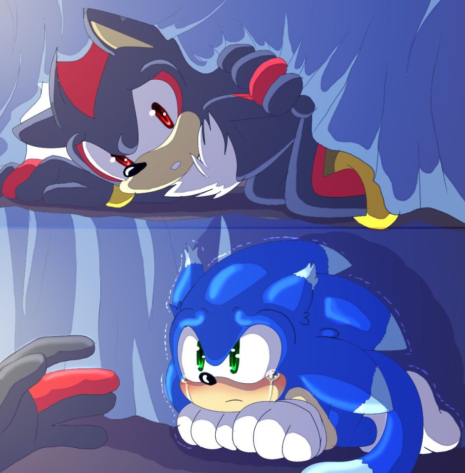 Sonic and Sedou