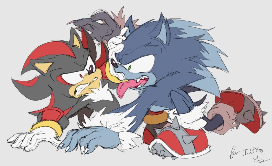 Shadow X Sonic yaoi