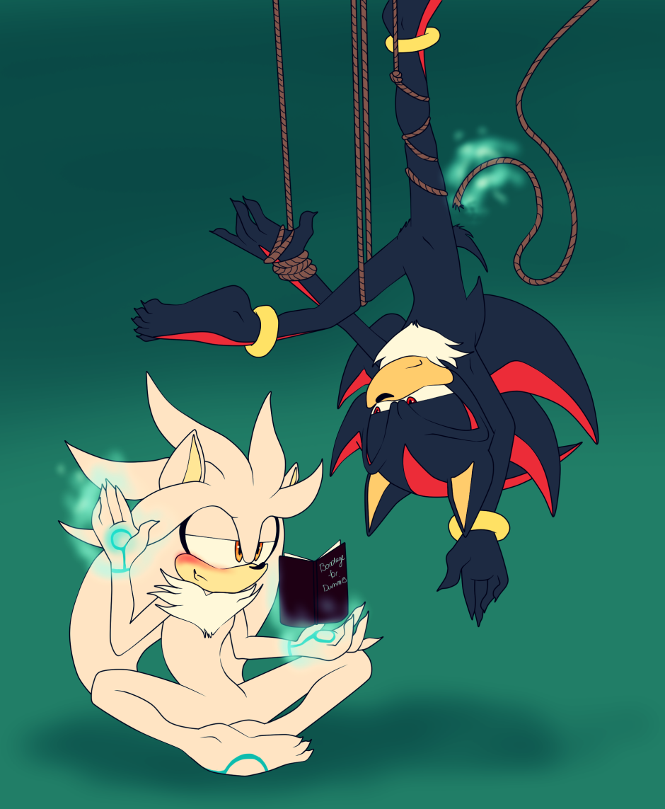 Sonic werewolf and Sedou vampire