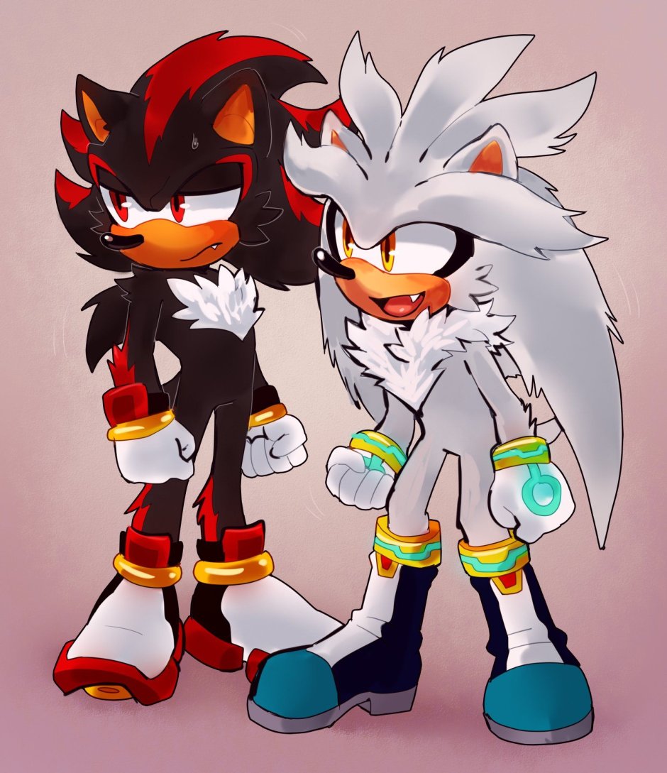 Hedgehog Sedou and Silver