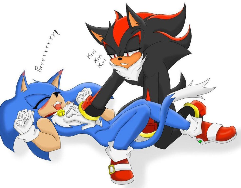 Silver x SHEDOU X Sonic