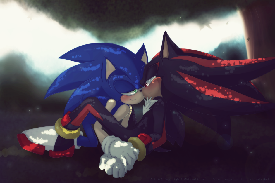 Hedgehog Sonic Shadow maid