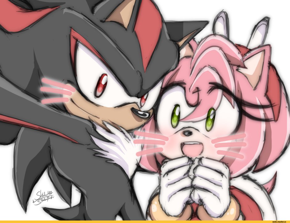 Sonic X Tails 18