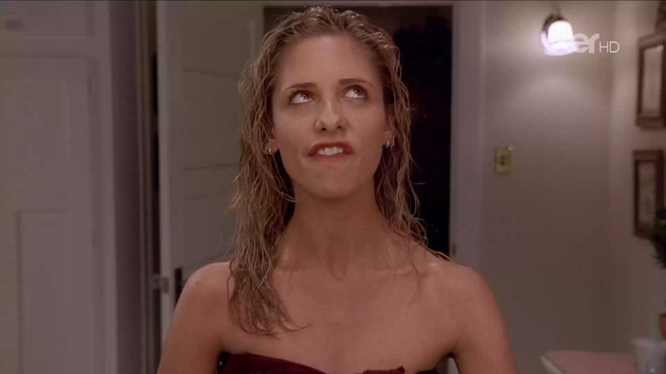 Sarah Michel Gellar Vaginal
