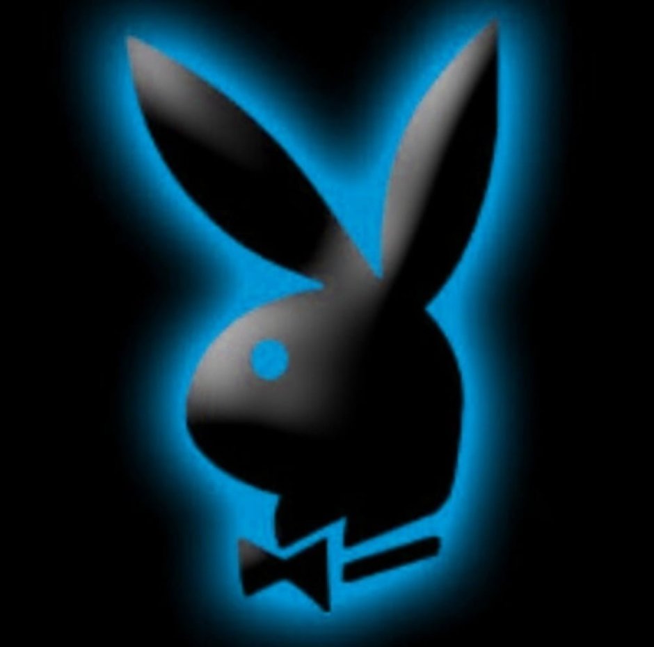 Playboy rabbit