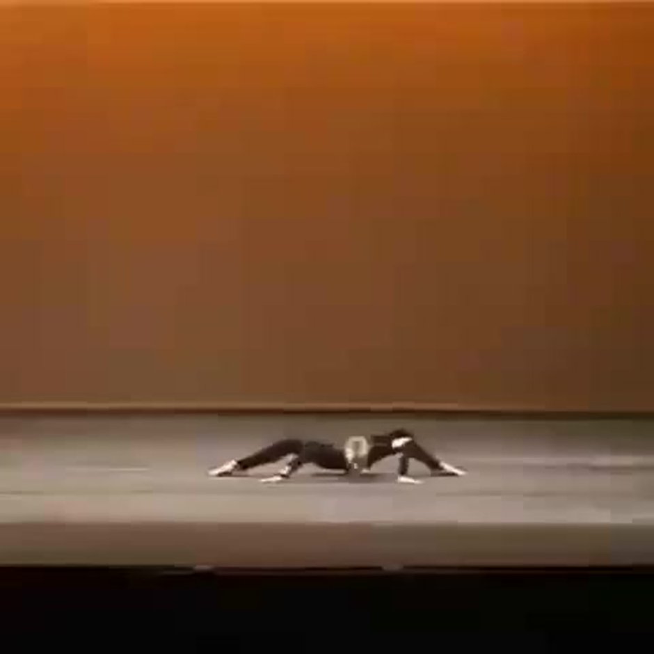 The Spider Milena Sidorova Spider - COUB