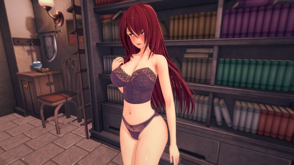 Strike The Blood Himiregs