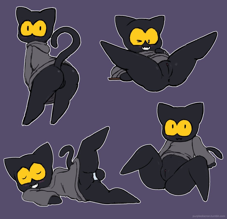 Cat Angel and Demon
