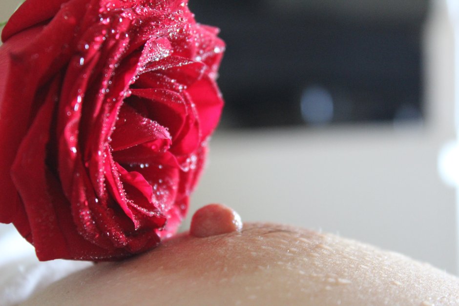 London Rose actress