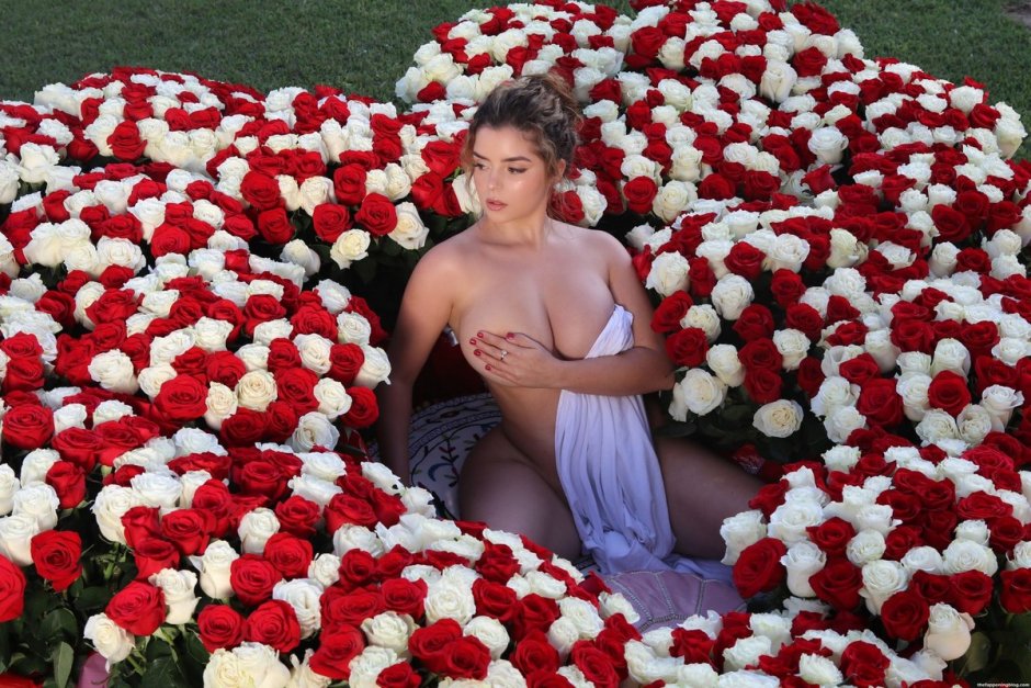 Female breasts and petals of roses