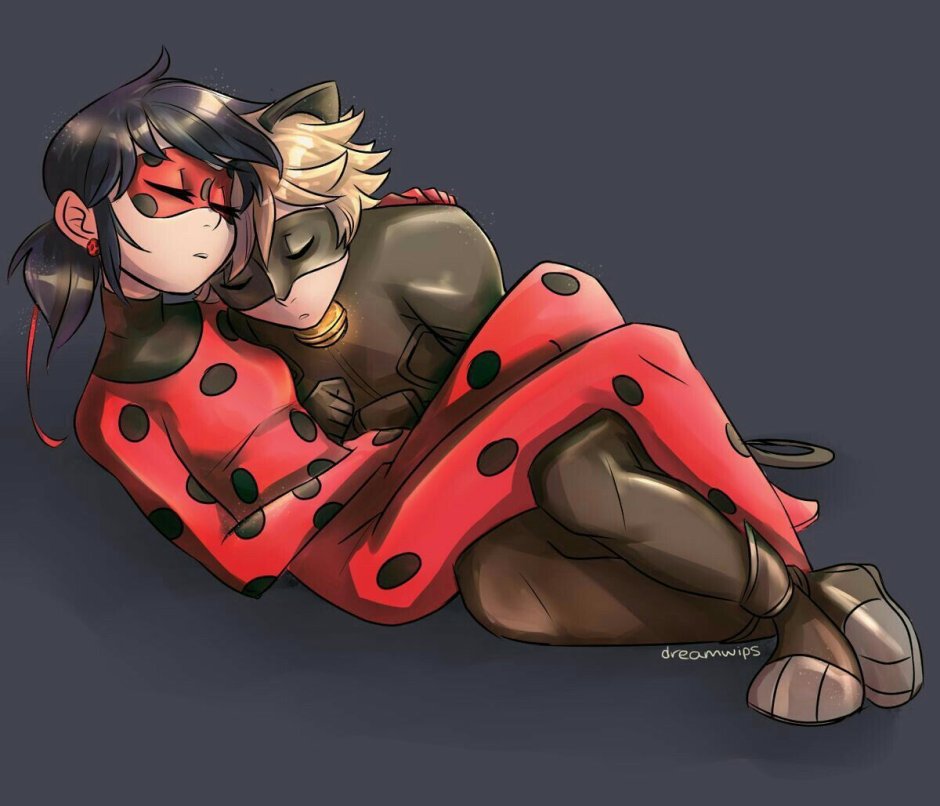 Lady Bug 18