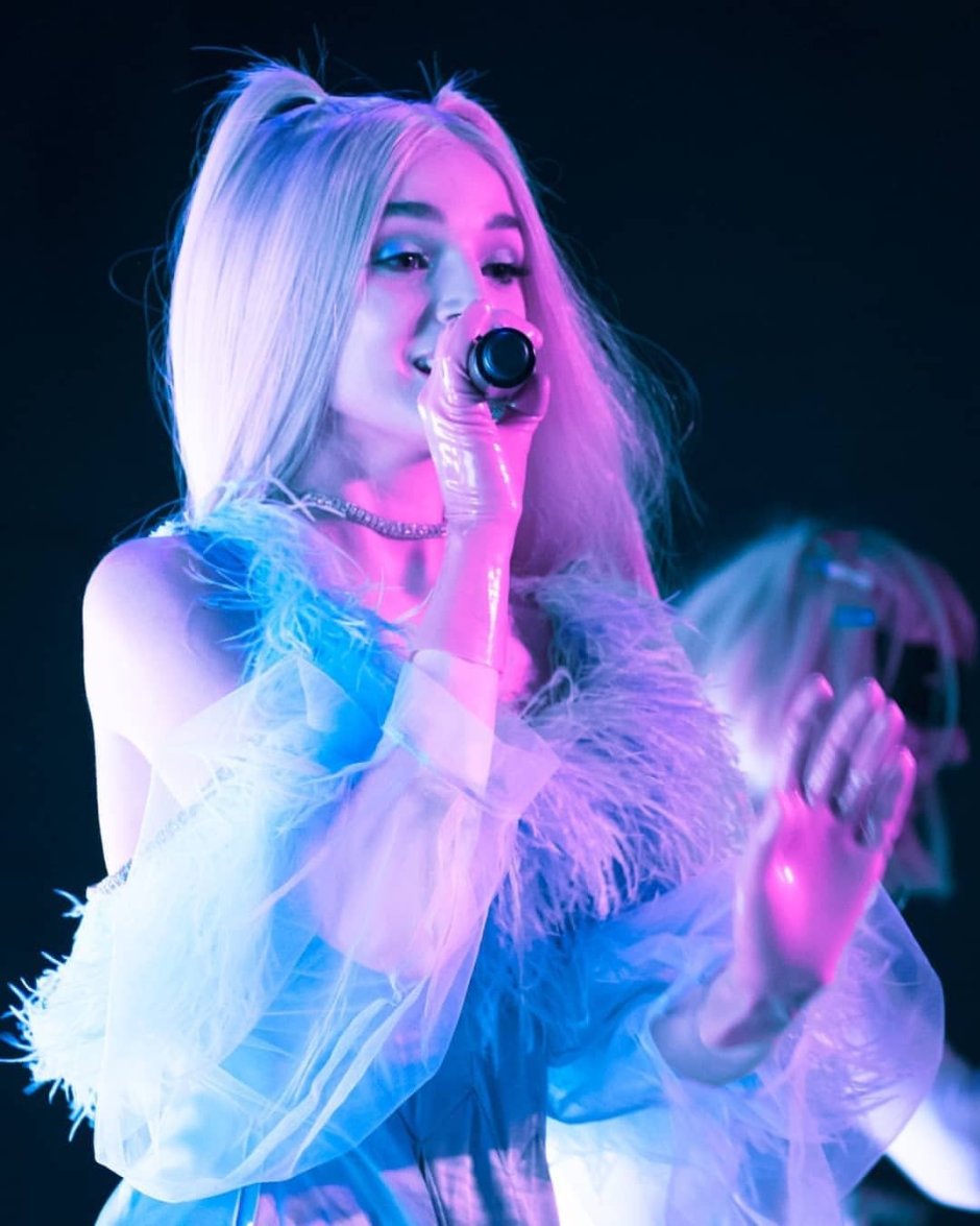 Poppy Singer full growth
