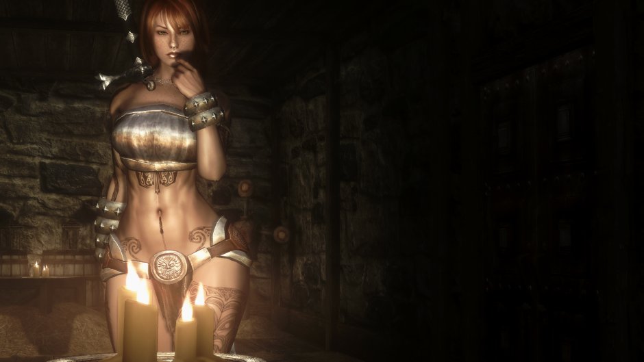 The Elder Scrolls 5: Skyrim "mod of enlarged female breasts +18"