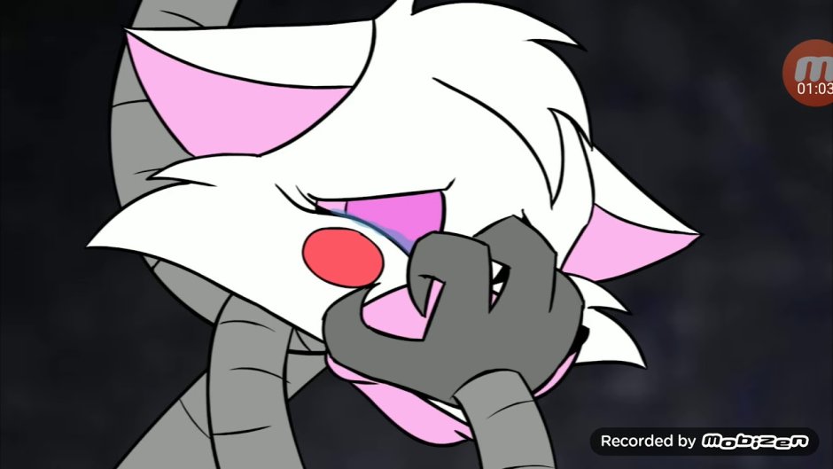 Tony Kraynight Roxy