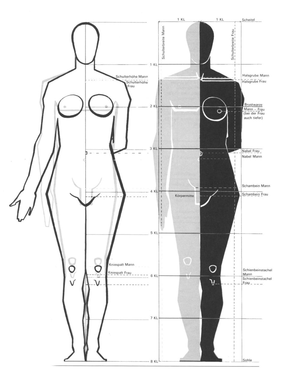 Female figure reference anatomy