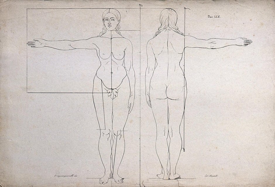 Constrain Proportions in Figm