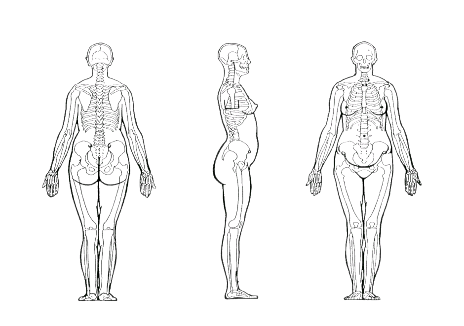 Body poses for drawing