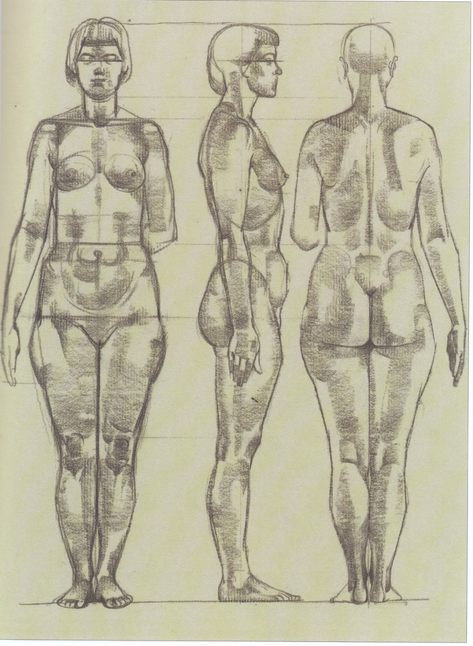 Female body for drawing