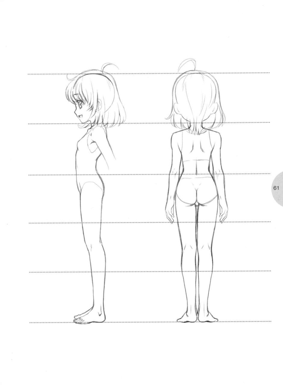 Anatomy of the waist for drawing