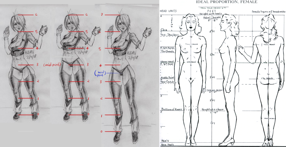 The scheme of the female body
