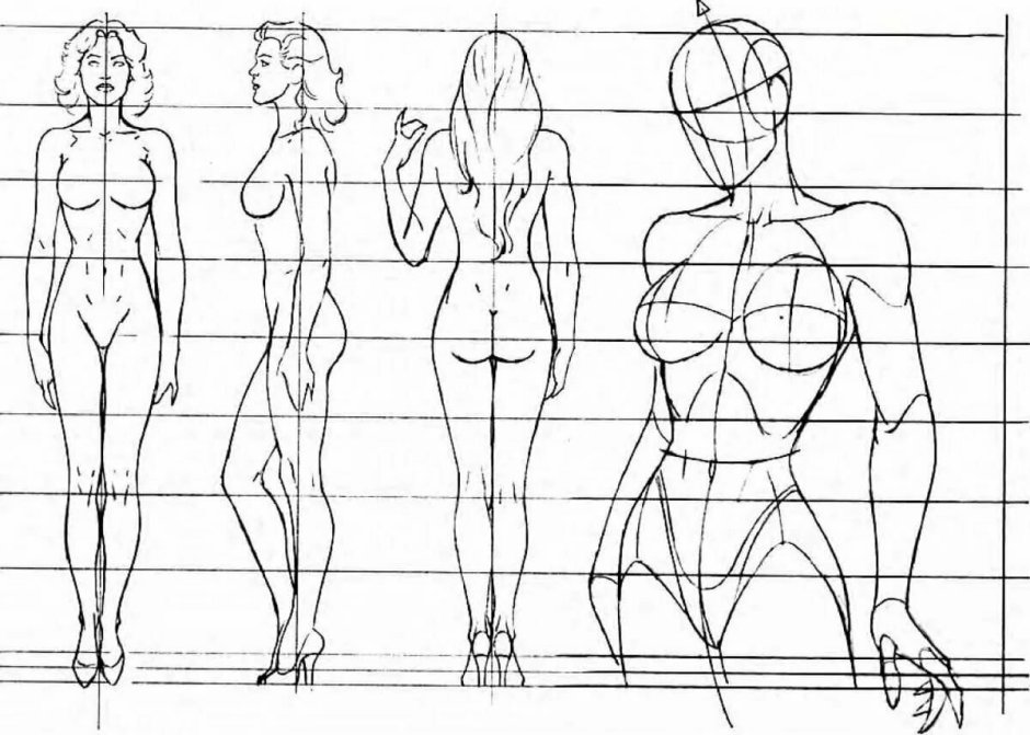 Drawing body proportions