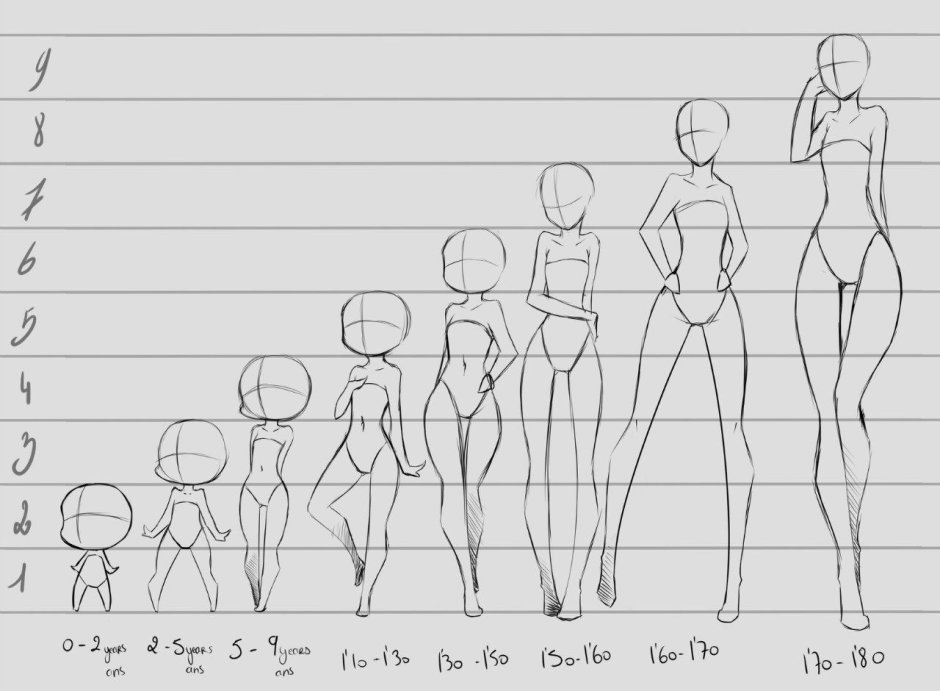 The proportions of the girl