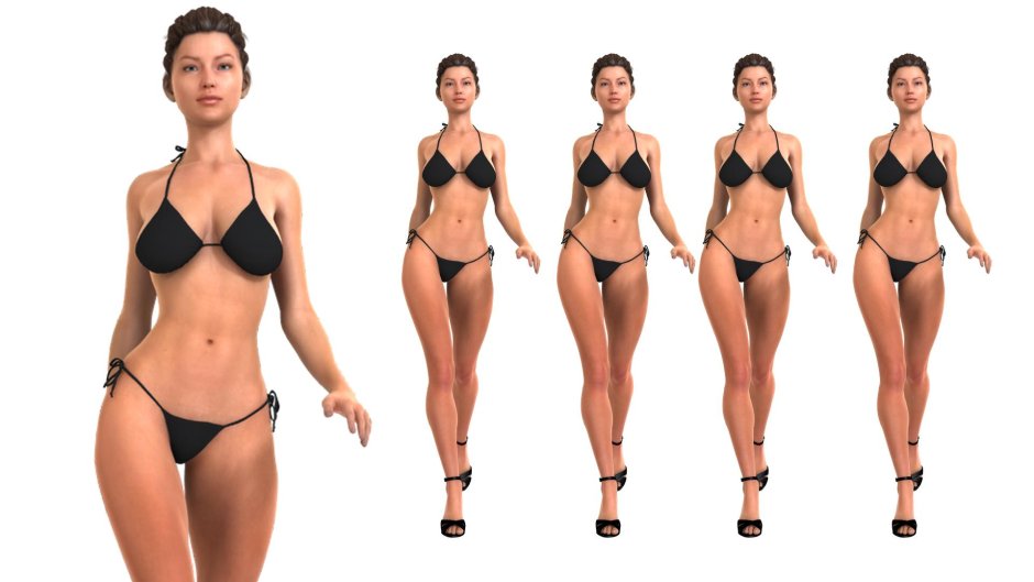 Bammes the proportions of the female body