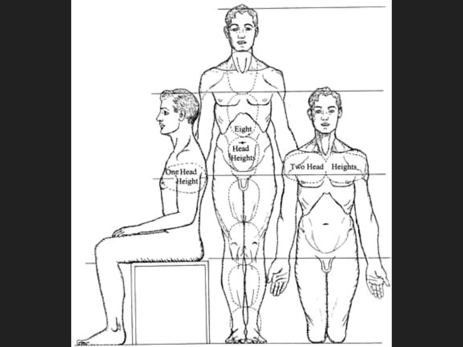 Full -length person reference